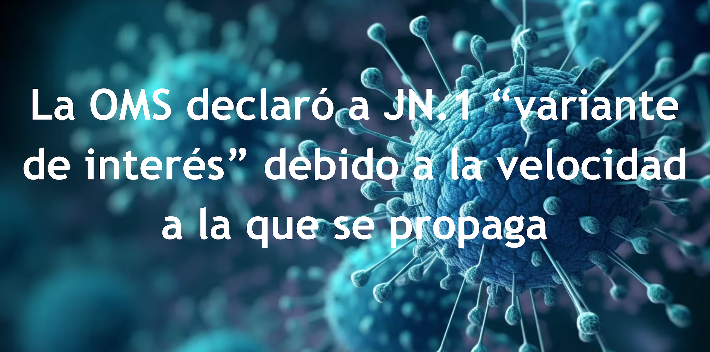 nitta Nitta® S.A. | Respiradores N95 NIOSH Certificados Screen Shot 2024 01 11 at 3